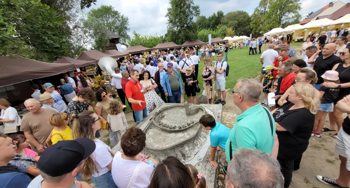 Atrakcje i Ciekawostki, Wielkopolski Dzień Pszczół Kaliszu Święto pszczelarzy miodu - zdjęcie, fotografia