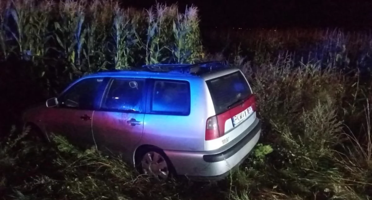 Wypadki drogowe, Kompletnie pijany wjechał kukurydzy Zareagował świadek - zdjęcie, fotografia