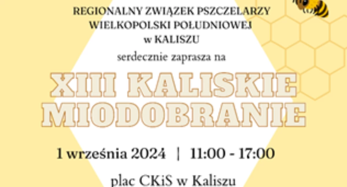 Atrakcje i Ciekawostki, Kaliskie Miodobranie Święto Miodu Tradycji Kaliszu - zdjęcie, fotografia
