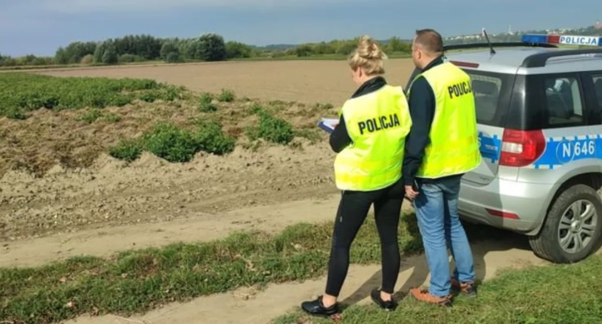 Rolnictwo, kradną dynie ogórki truskawki także maszyny rolnicze - zdjęcie, fotografia
