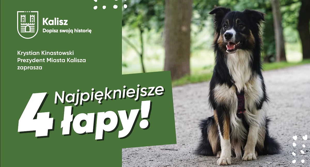 Ciekawostki, Prezentacja psów Parku Przyjaźni - zdjęcie, fotografia