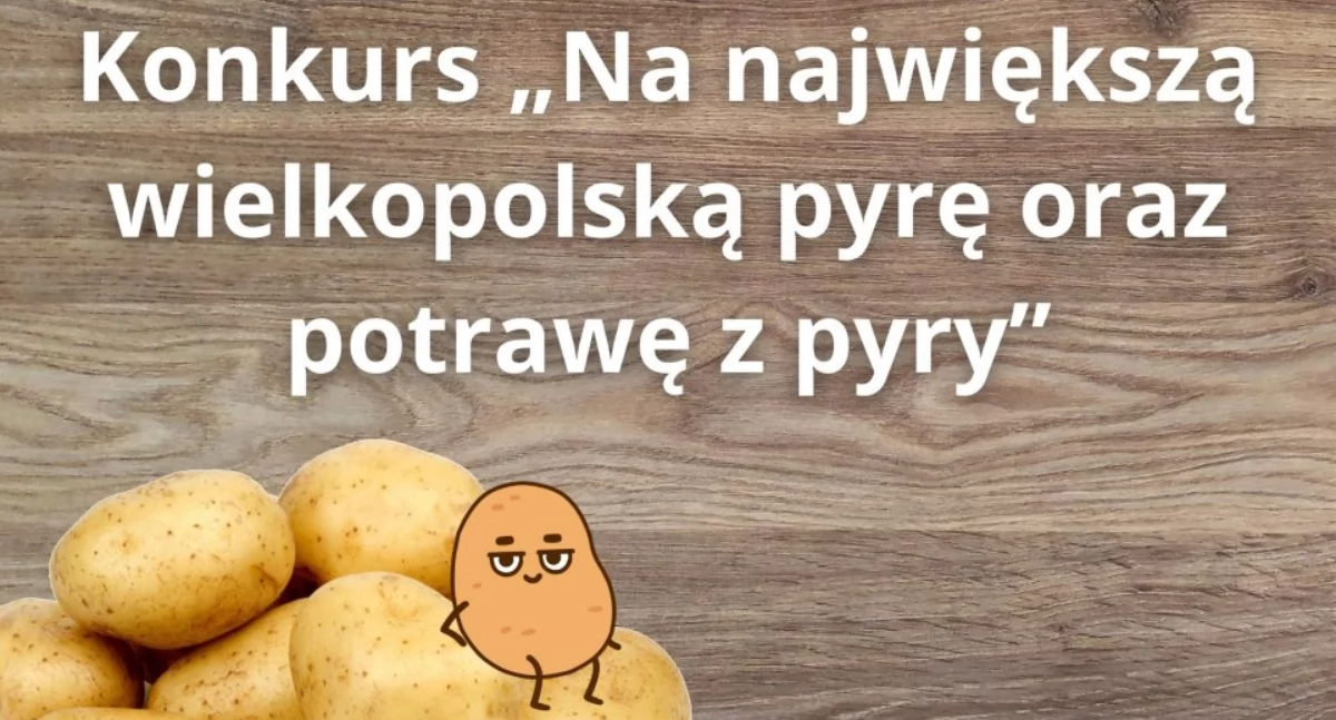 Rolnictwo, Konkurs „Na największą wielkopolską pyrę potrawę pyry” - zdjęcie, fotografia