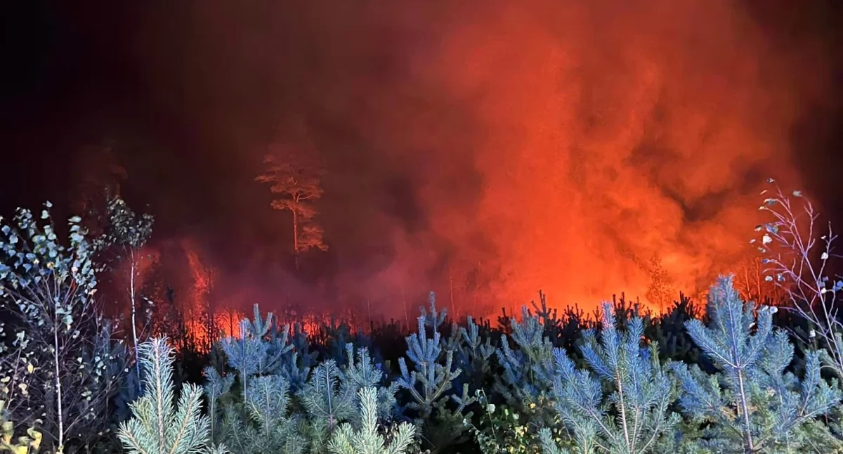 Pożary - interwencje Straży Pożarnej, Pożar Zajączkach prawdopodobnie podpalenie - zdjęcie, fotografia