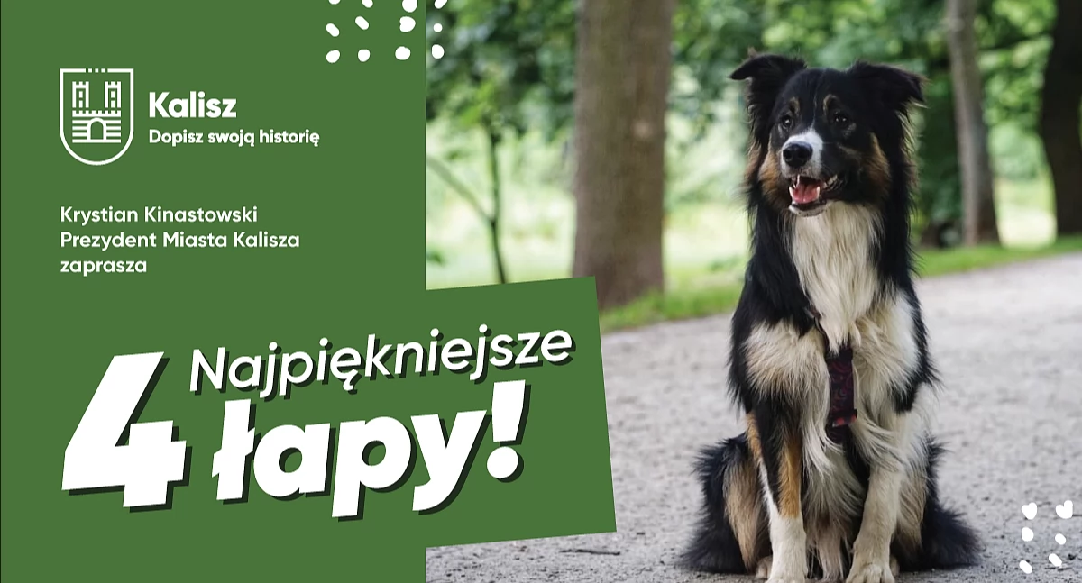 Ciekawostki, Prezentacja psów Parku Przyjaźni rowerowy innych terminach - zdjęcie, fotografia