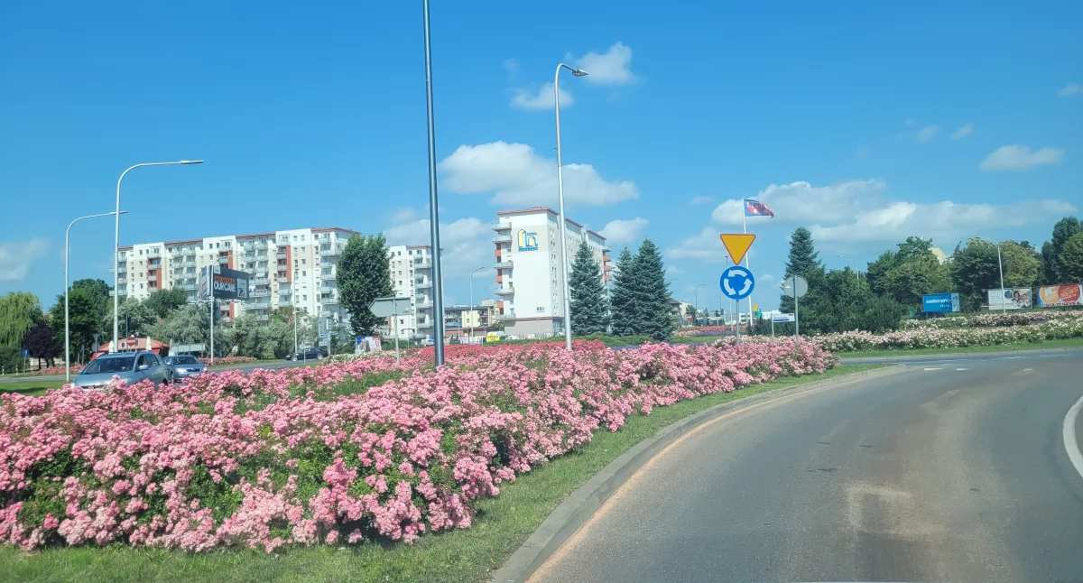Miejski krajobraz, Rozpoczęło głosowanie projekty Budżetu Obywatelskiego Kalisza - zdjęcie, fotografia