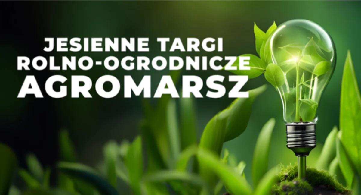Region, Jesienne Targi Rolno Ogrodnicze Marszewie niedzielę! - zdjęcie, fotografia