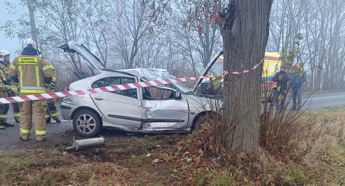 Wypadki drogowe, Pijany kierowca renault rozbił drzewie - zdjęcie, fotografia