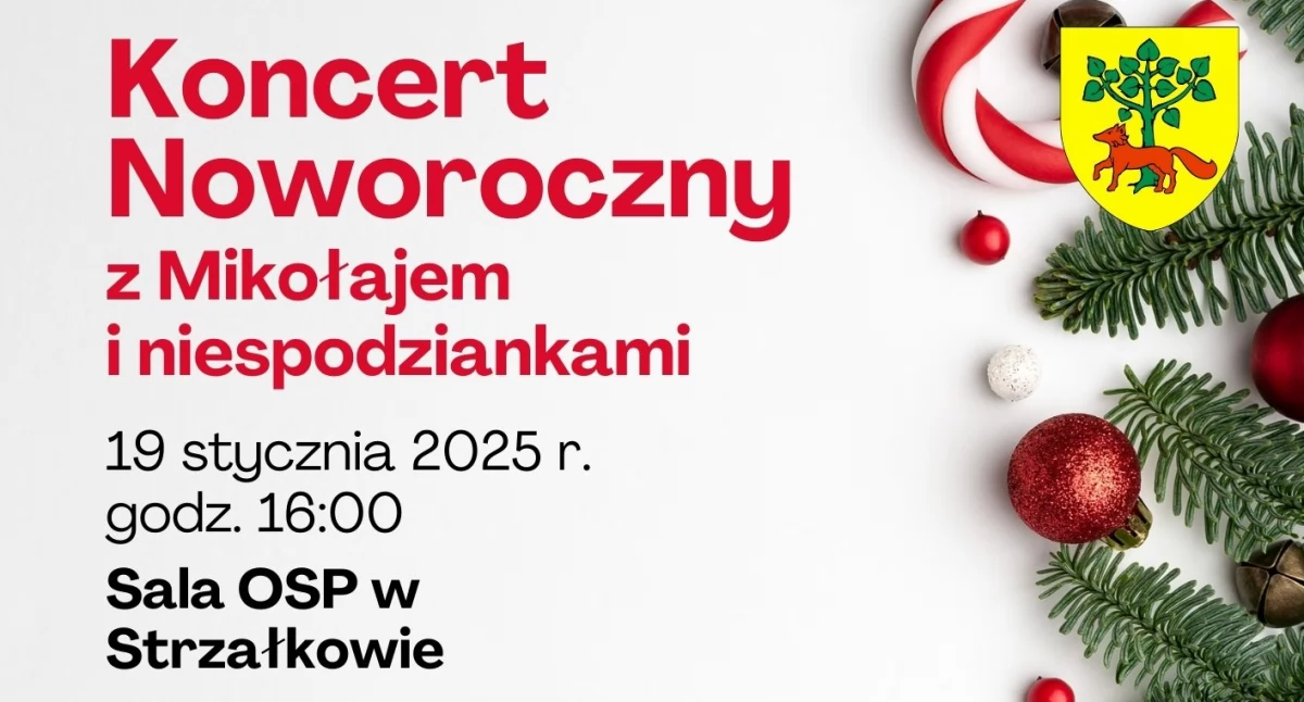 Region, Koncert Noworoczny Mikołajem niespodziankami - zdjęcie, fotografia