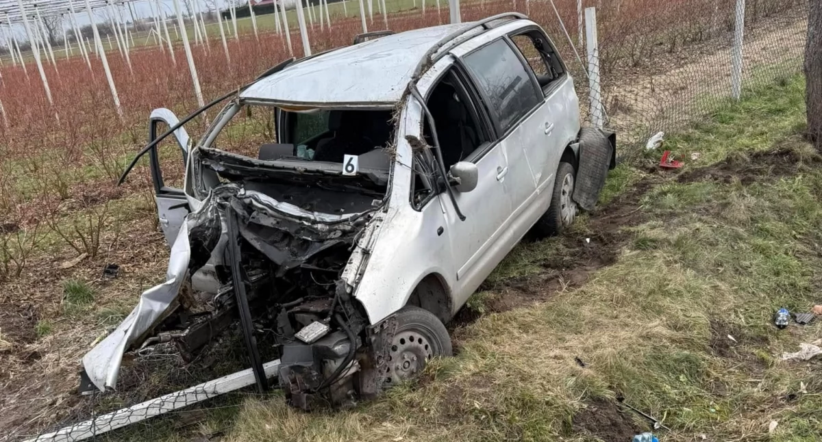 Wypadki drogowe, Volkswagen uderzył drzewo dachował poszkodowane dziecko - zdjęcie, fotografia