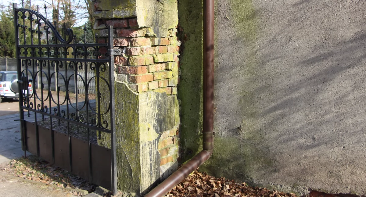 Miejski krajobraz, Miasto zapomniało nekropolii dlaczego - zdjęcie, fotografia