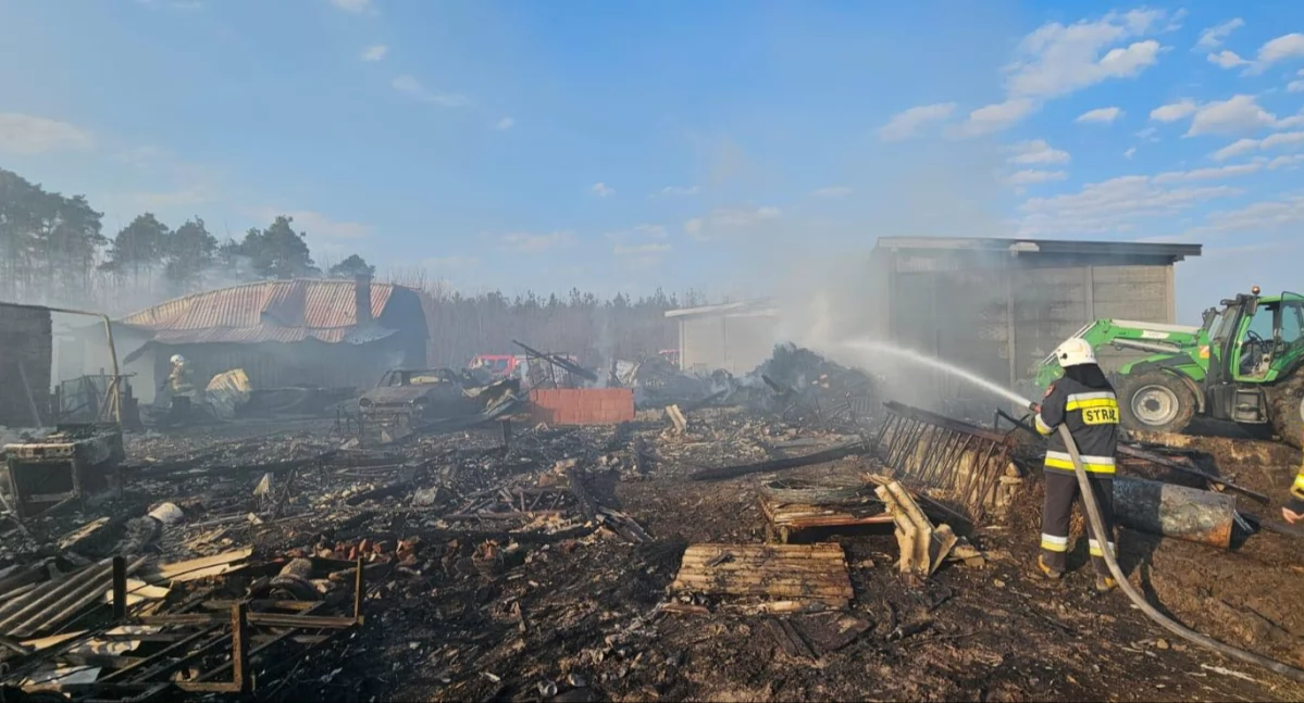 Pożary - interwencje Straży Pożarnej, Olbrzymi pożar Kaliszem - zdjęcie, fotografia