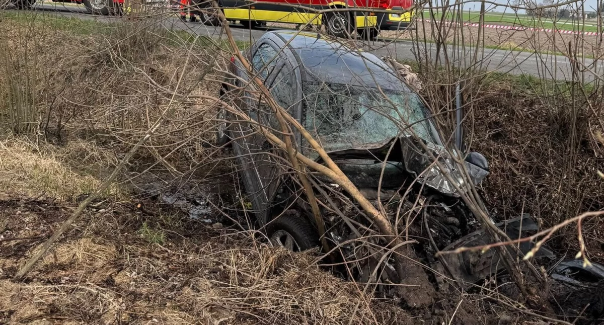 Wypadki drogowe, Wypadek Morawinie letni kierowca roztrzaskał drzewie - zdjęcie, fotografia