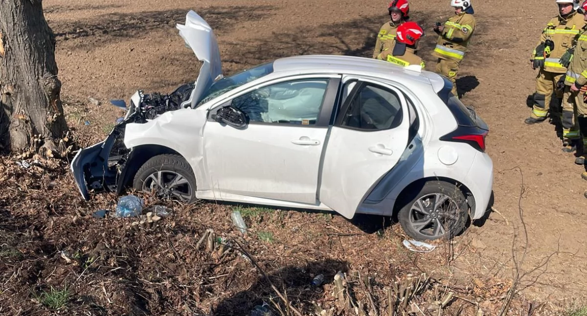 Wypadki drogowe, Zderzenie podczas wyprzedzania Toyota roztrzaskała drzewie! - zdjęcie, fotografia