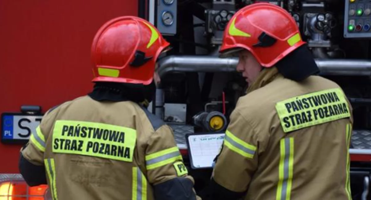 Pożary - interwencje Straży Pożarnej, Poniedziałek Wielkanocny pożary samym czasie - zdjęcie, fotografia