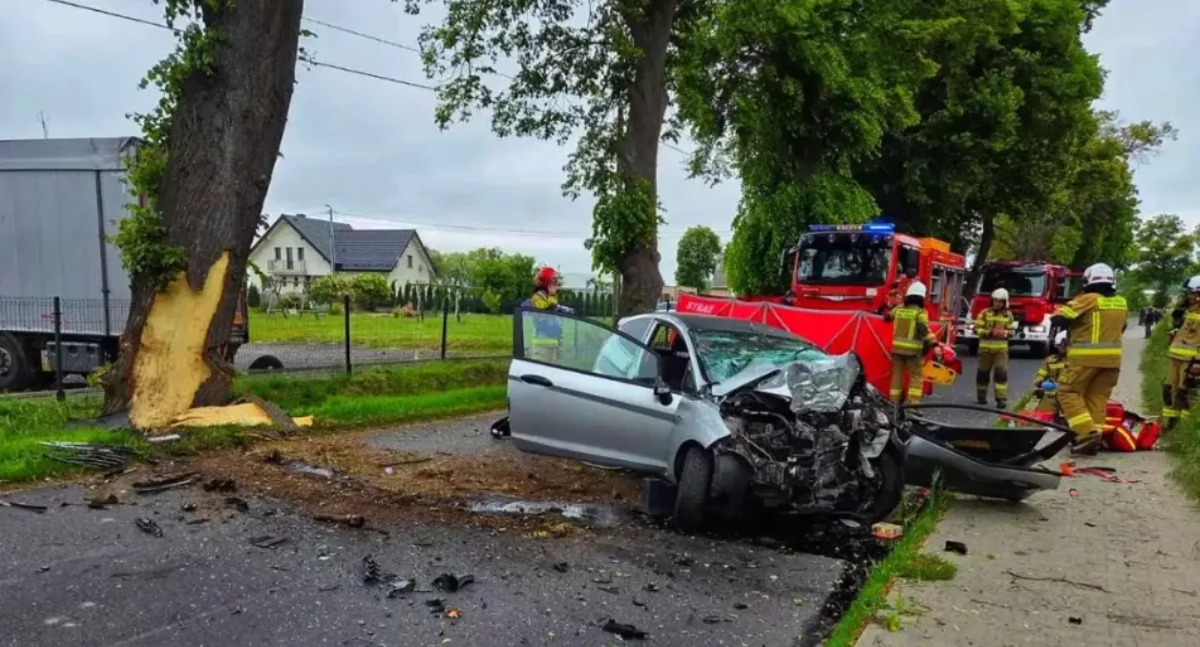Wypadki drogowe, wyjściu zakrętu roztrzaskał drzewie żyje mieszkaniec Kalisza - zdjęcie, fotografia
