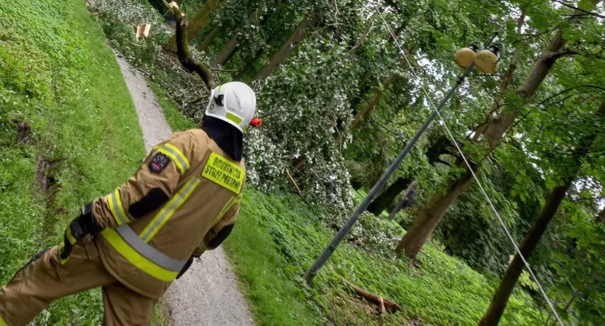 Pożary - interwencje Straży Pożarnej, Wypadek szkolnym boisku Konar drzewa spadł osoby dzieci - zdjęcie, fotografia
