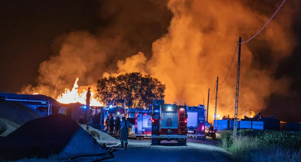 Pożary - interwencje Straży Pożarnej, Olbrzymi pożar Kaliszem - zdjęcie, fotografia