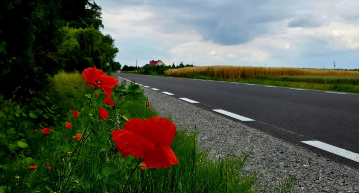 Region, Florentyny Borkowa Starego jazda niczym maśle - zdjęcie, fotografia