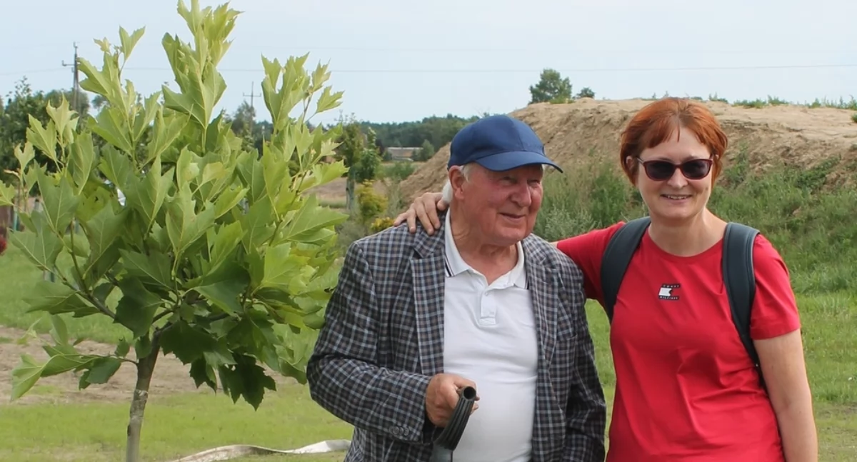 Region, Platany kuliste drzewa Parku Miododajnym Liskowie - zdjęcie, fotografia