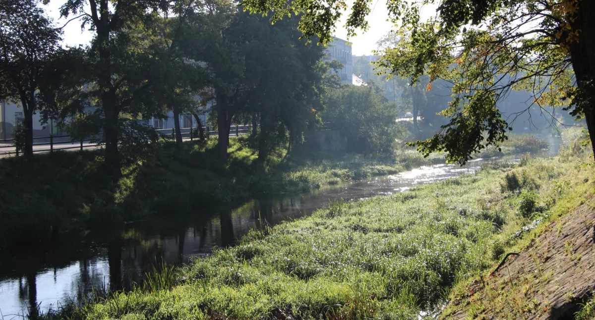 Ochrona środowiska - ekologia, Prosna jeszcze rzeka - zdjęcie, fotografia