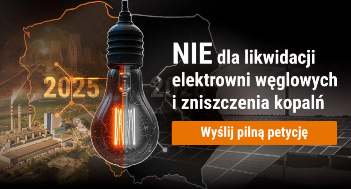 Polityka, Będą masowe wyłączenia prądu! - zdjęcie, fotografia