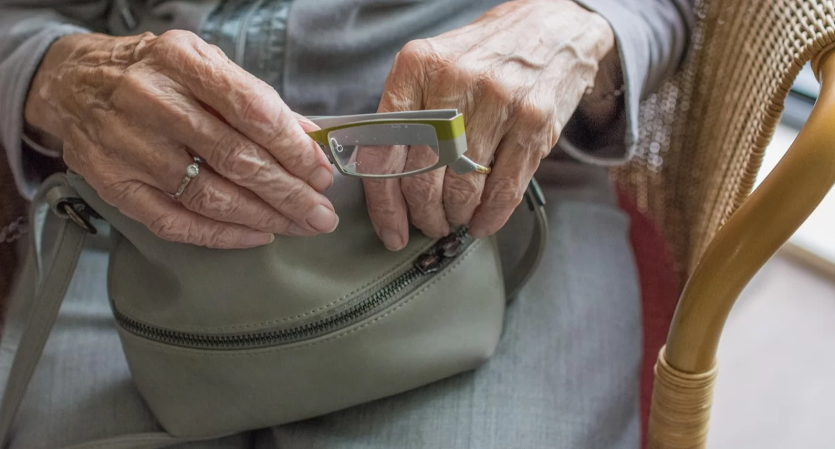 Kronika Kryminalna, Napadli okradli seniorkę ulicy Sprawcami letni chłopcy - zdjęcie, fotografia