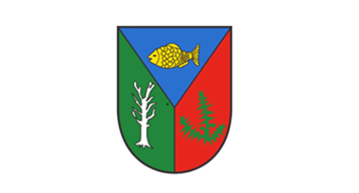 Administracja , Wójt Gminy Brzeziny ogłasza - zdjęcie, fotografia