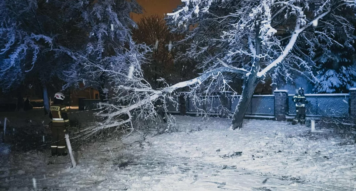 Pożary - interwencje Straży Pożarnej, Masowe awarie prądu połamane drzewa ranna kobieta natarciu - zdjęcie, fotografia