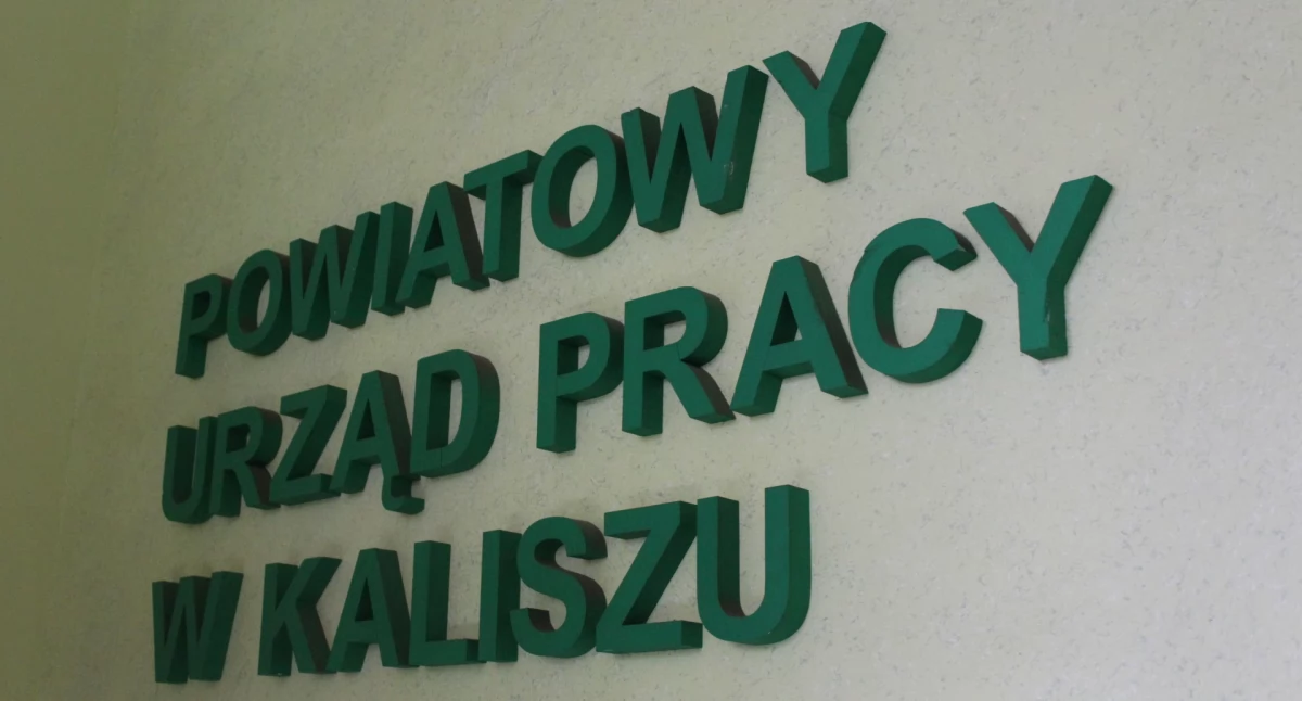 Rynek pracy, Najnowsze oferty pracy - zdjęcie, fotografia