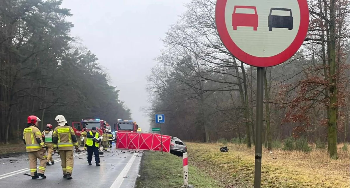 Wypadki drogowe, Śmiertelny wypadek Gołuchowie - zdjęcie, fotografia