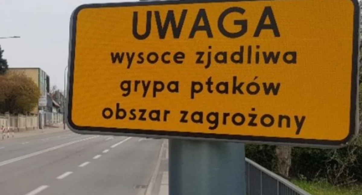 Region, Uwaga ptasia grypa - zdjęcie, fotografia