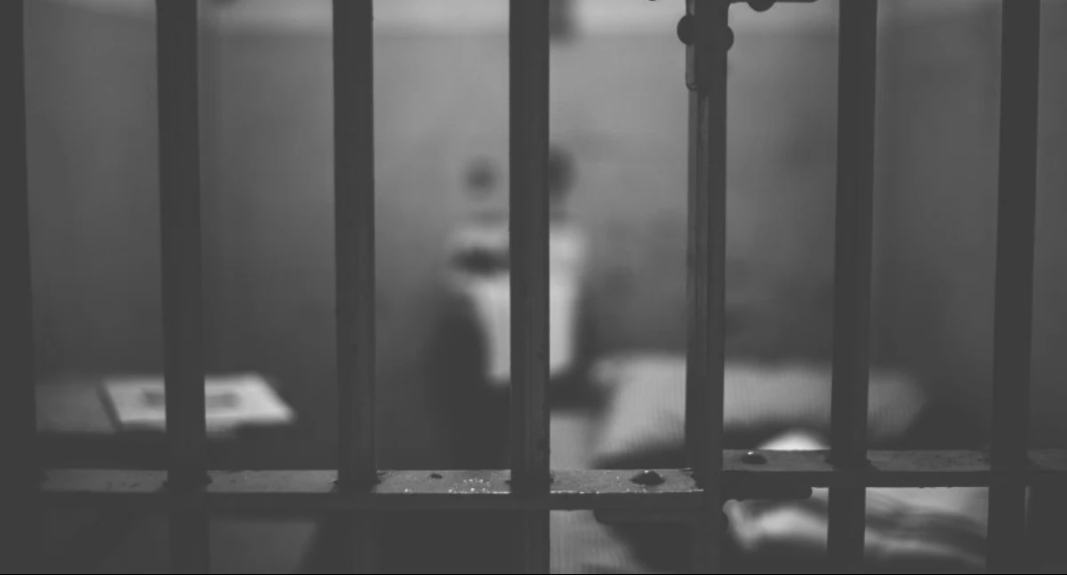 Kronika Kryminalna, Więzili torturowali grozili śmiercią Zarzuty areszt oprawców latka - zdjęcie, fotografia