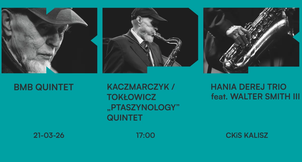 Koncerty, Kalisz Ptaszyn drugi - zdjęcie, fotografia