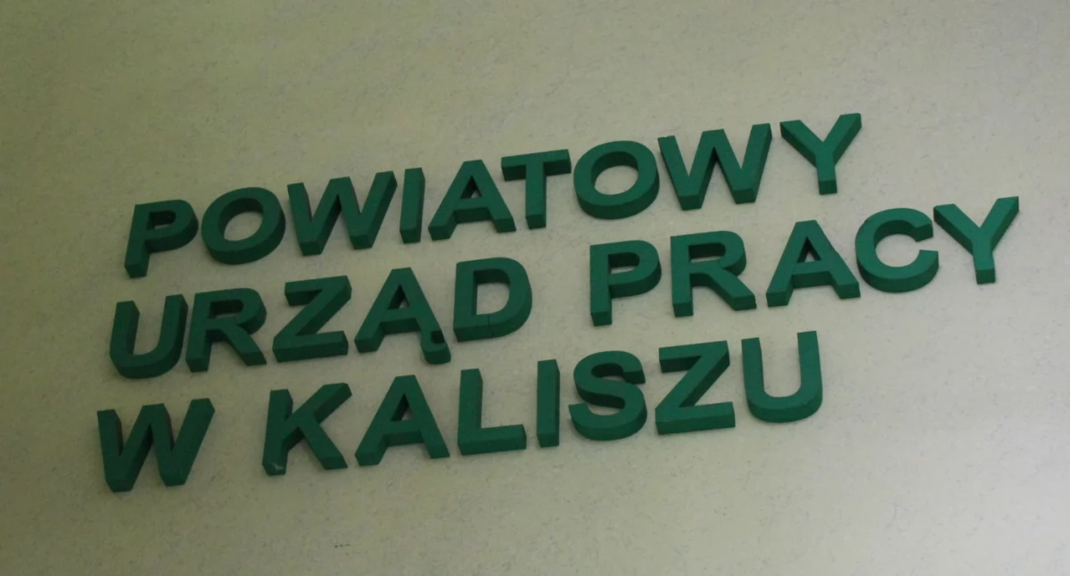 Rynek pracy, Najnowsze oferty pracy - zdjęcie, fotografia