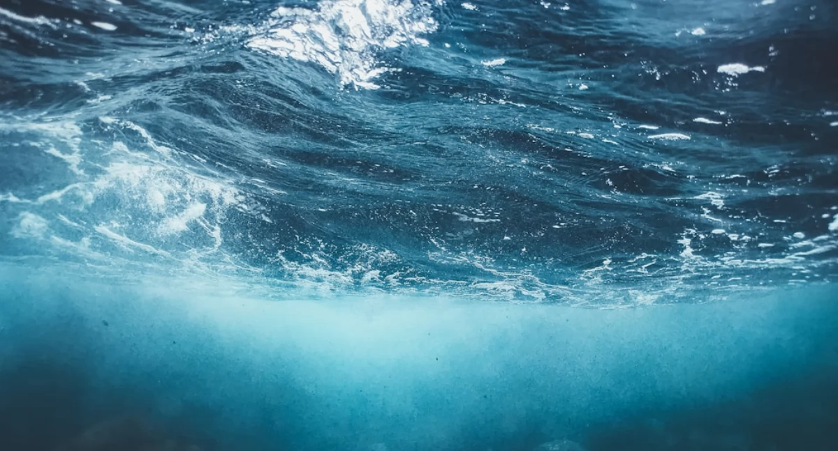 Źródło: unsplash.com Licencja: https://unsplash.com/license