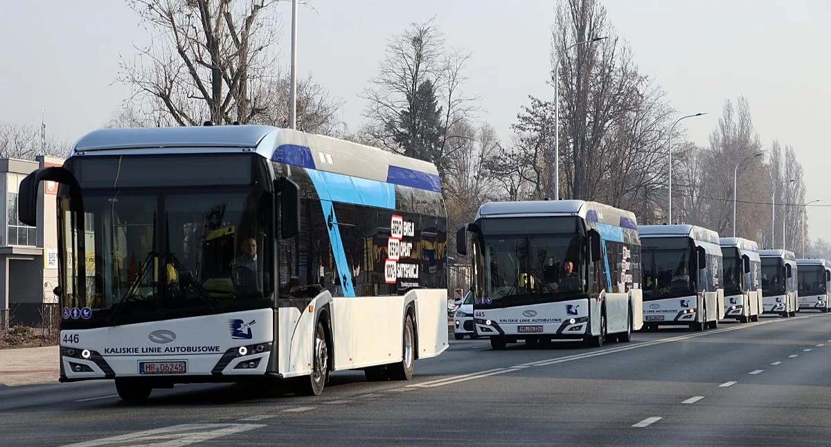 Administracja , Autobusy elektryczne - zdjęcie, fotografia