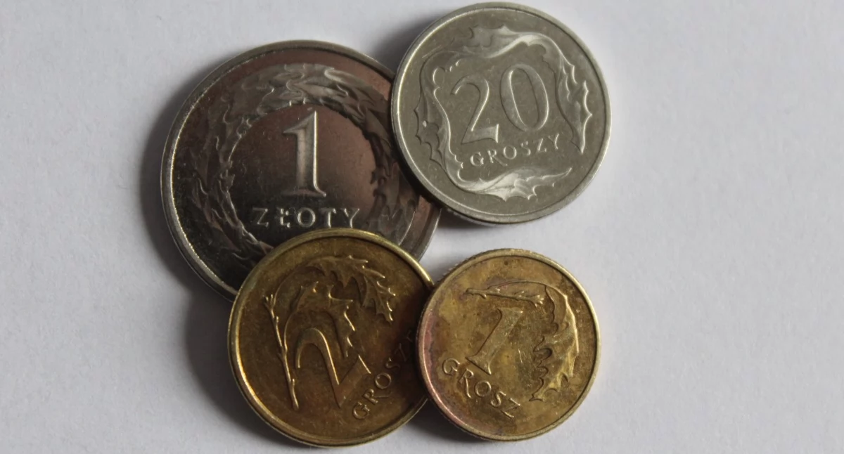 Polityka, Zajączkowska Brońmy gotówki złotego! - zdjęcie, fotografia