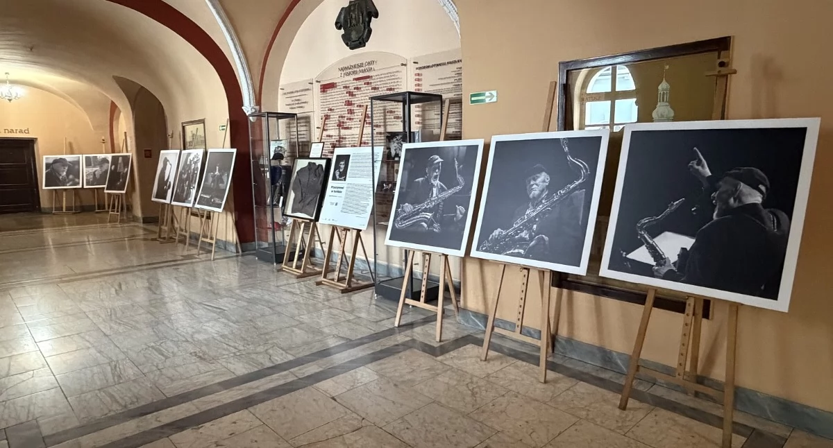Atrakcje i Ciekawostki, Niezwykła wystawa Ratuszu - zdjęcie, fotografia