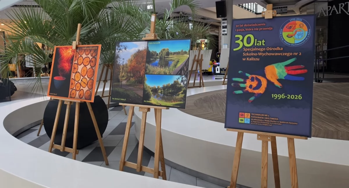 Atrakcje i Ciekawostki, Ciekawa wystawa Galerii Amber - zdjęcie, fotografia