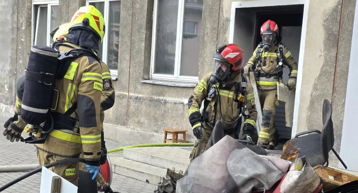 Pożary - interwencje Straży Pożarnej, Pożar piwnicy obiektu dydaktycznego - zdjęcie, fotografia