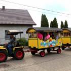 zdjęcie nr 48