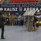 zdjęcie nr 110