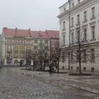 zdjęcie nr 16