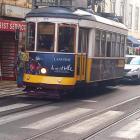 Fotka nr 5 z 10