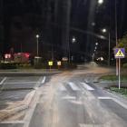 Fotka nr 1 z 2