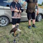 zdjęcie nr 16