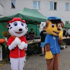 zdjęcie nr 75