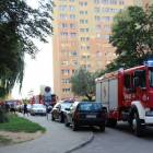 zdjęcie nr 9