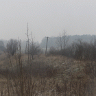 Fotka nr 5 z 6