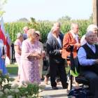 zdjęcie nr 13
